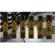 Army Enlisted Ranks Inlay Pen