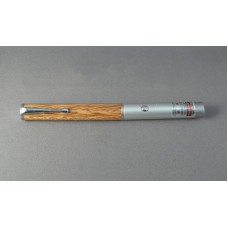 Red Palm Laser Pointer